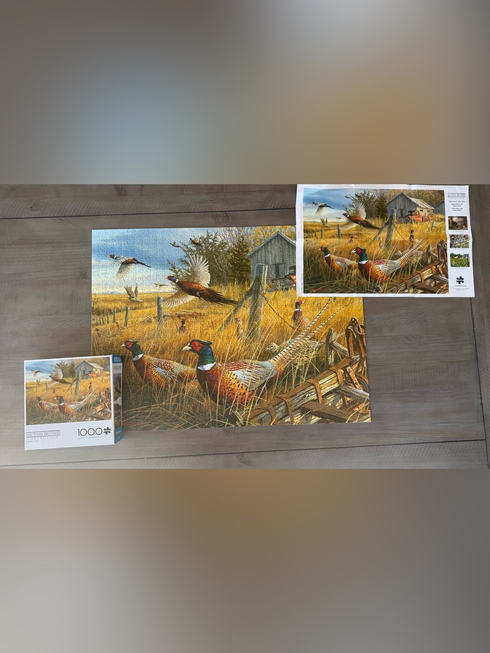 1000 piece puzzle